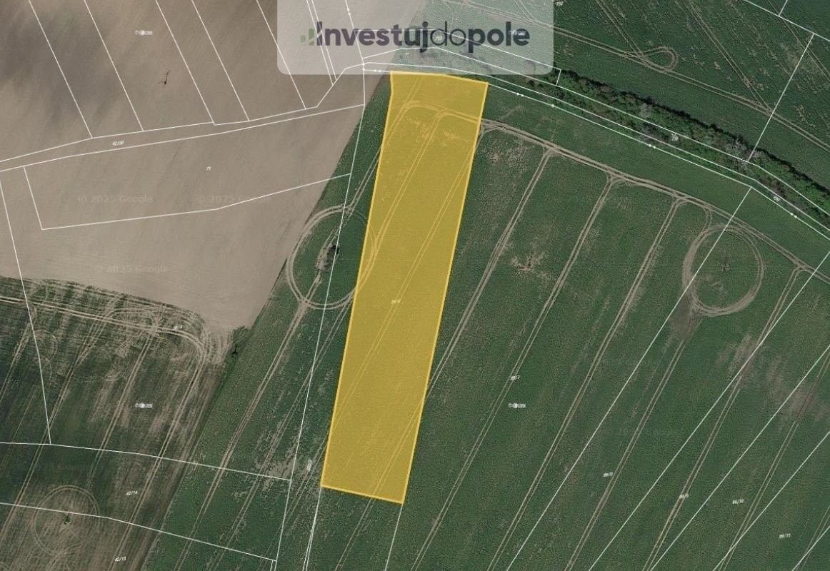 Zemědělské pozemky, Chotěšice, 10 199 m²