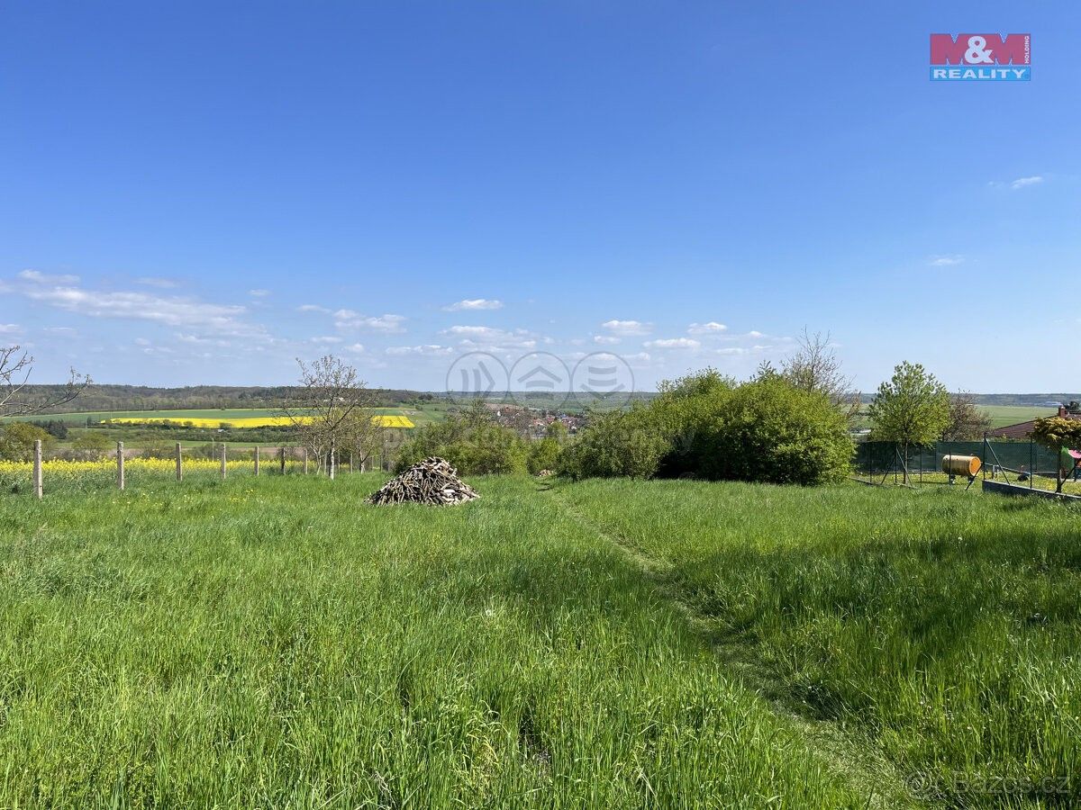 Prodej zemědělský pozemek - Benátky nad Jizerou, 294 71, 3 311 m²