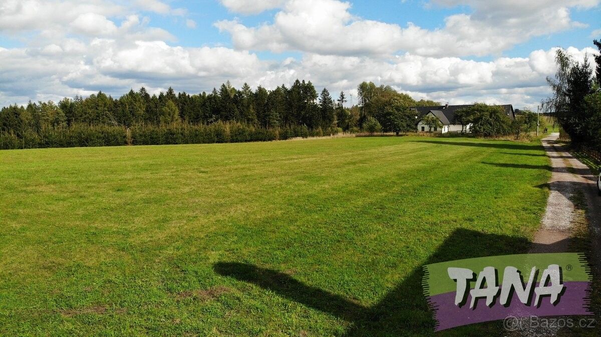 Pozemky pro bydlení, Borovnice, 544 77