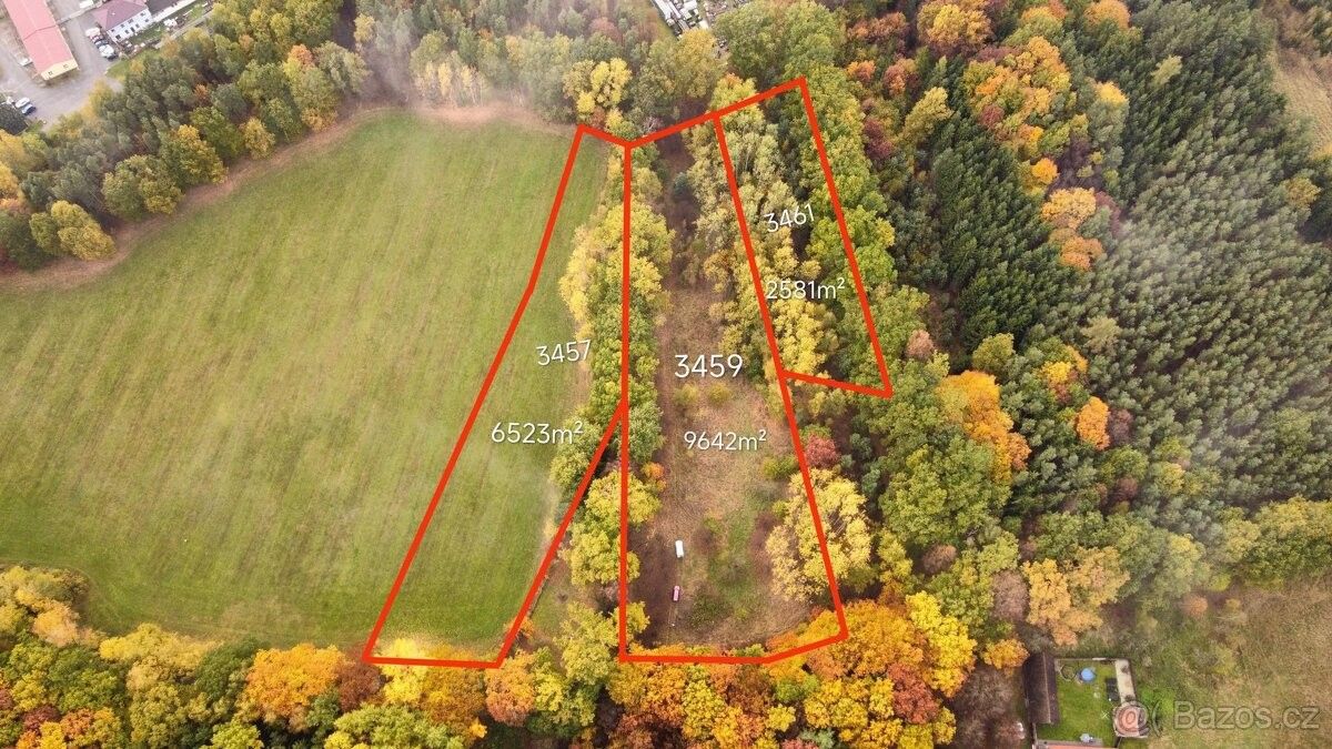 Pozemky pro bydlení, Borkovice, 391 81