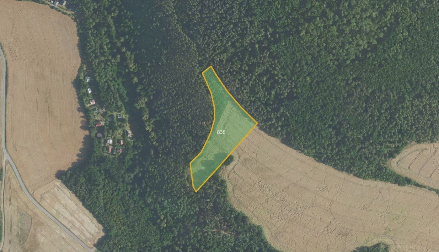 Zemědělské pozemky, Velká Lečice