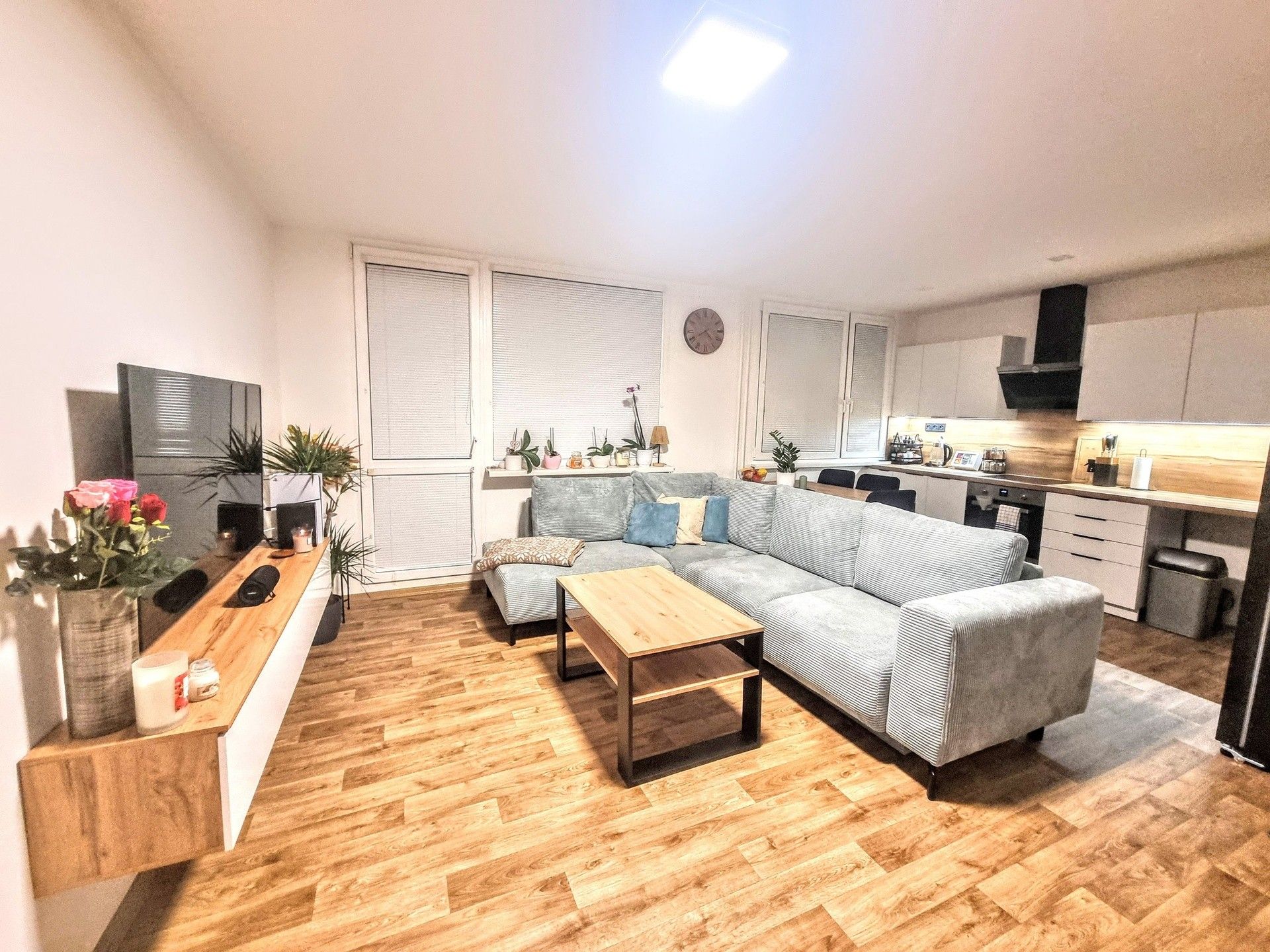 3+kk, Alšova, Bílina, 55 m²