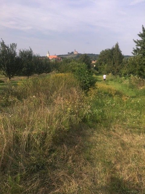 Prodej zahrada - Bzenec, 696 81, 738 m²