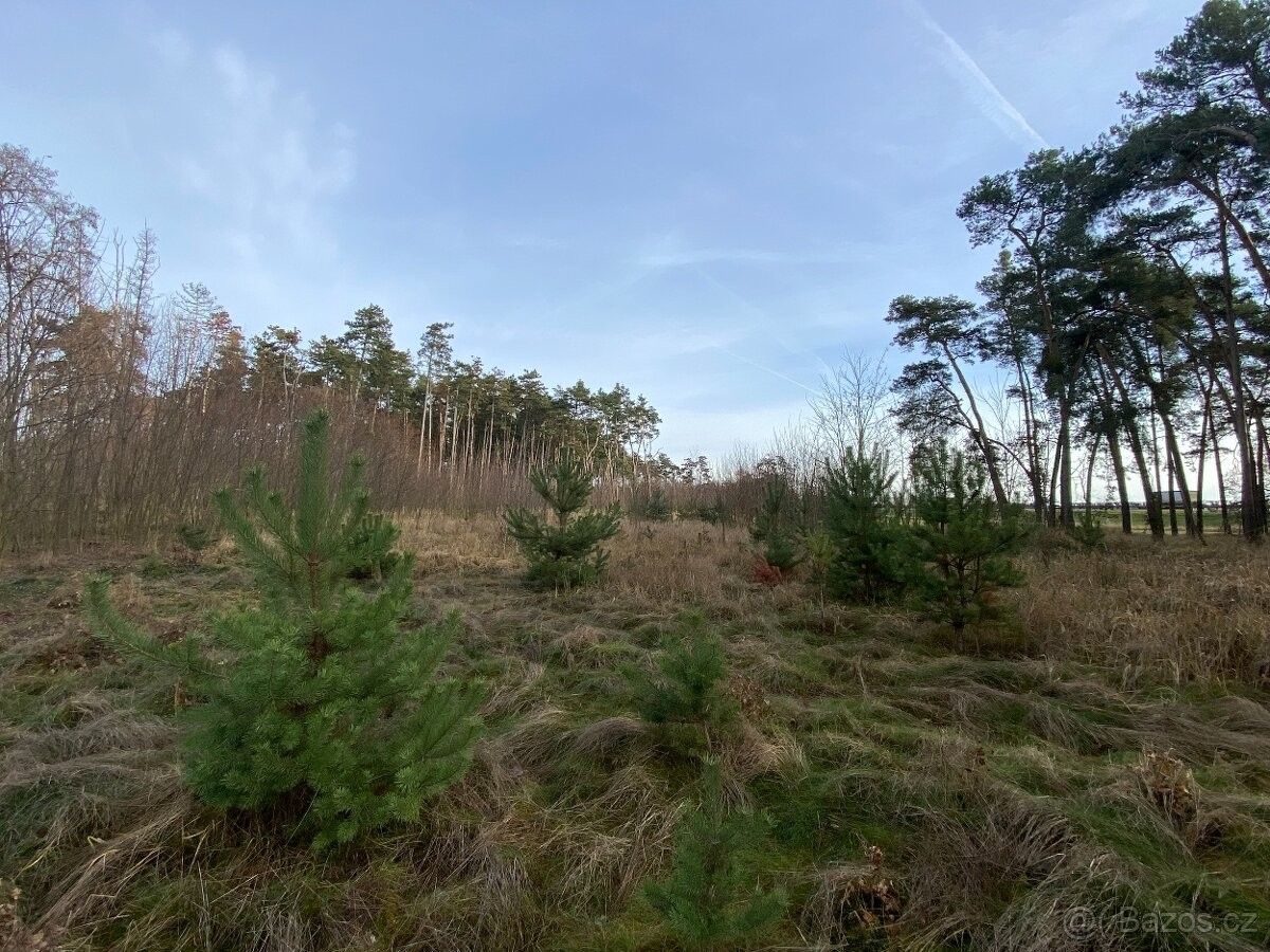 Pozemky pro bydlení, Sadská, 289 12