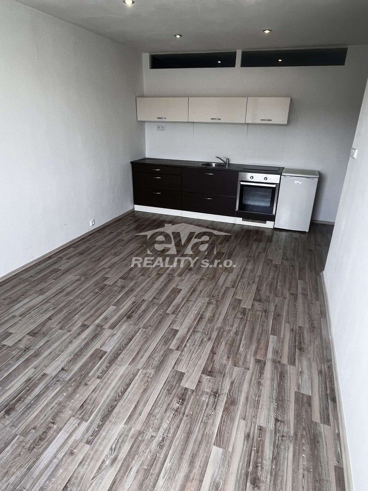 1+kk, Na pláni, Praha, 33 m²