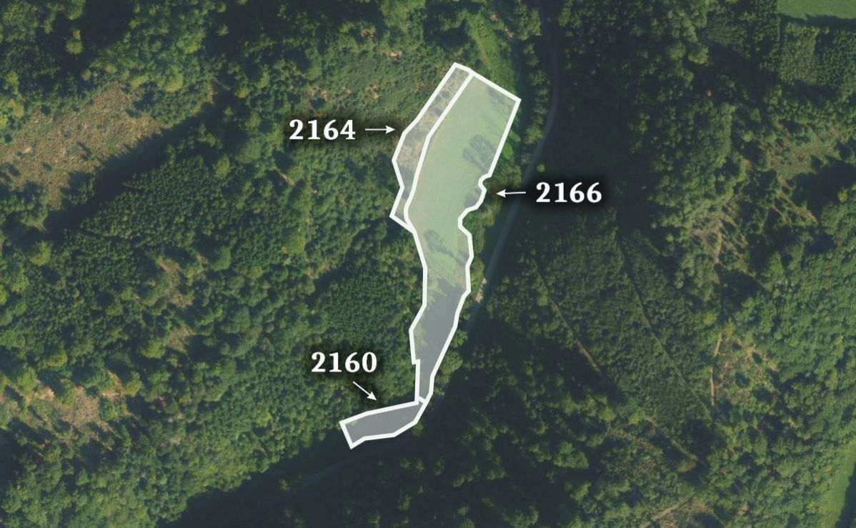 Prodej zemědělský pozemek - Moravská Třebová, 571 01, 26 370 m²