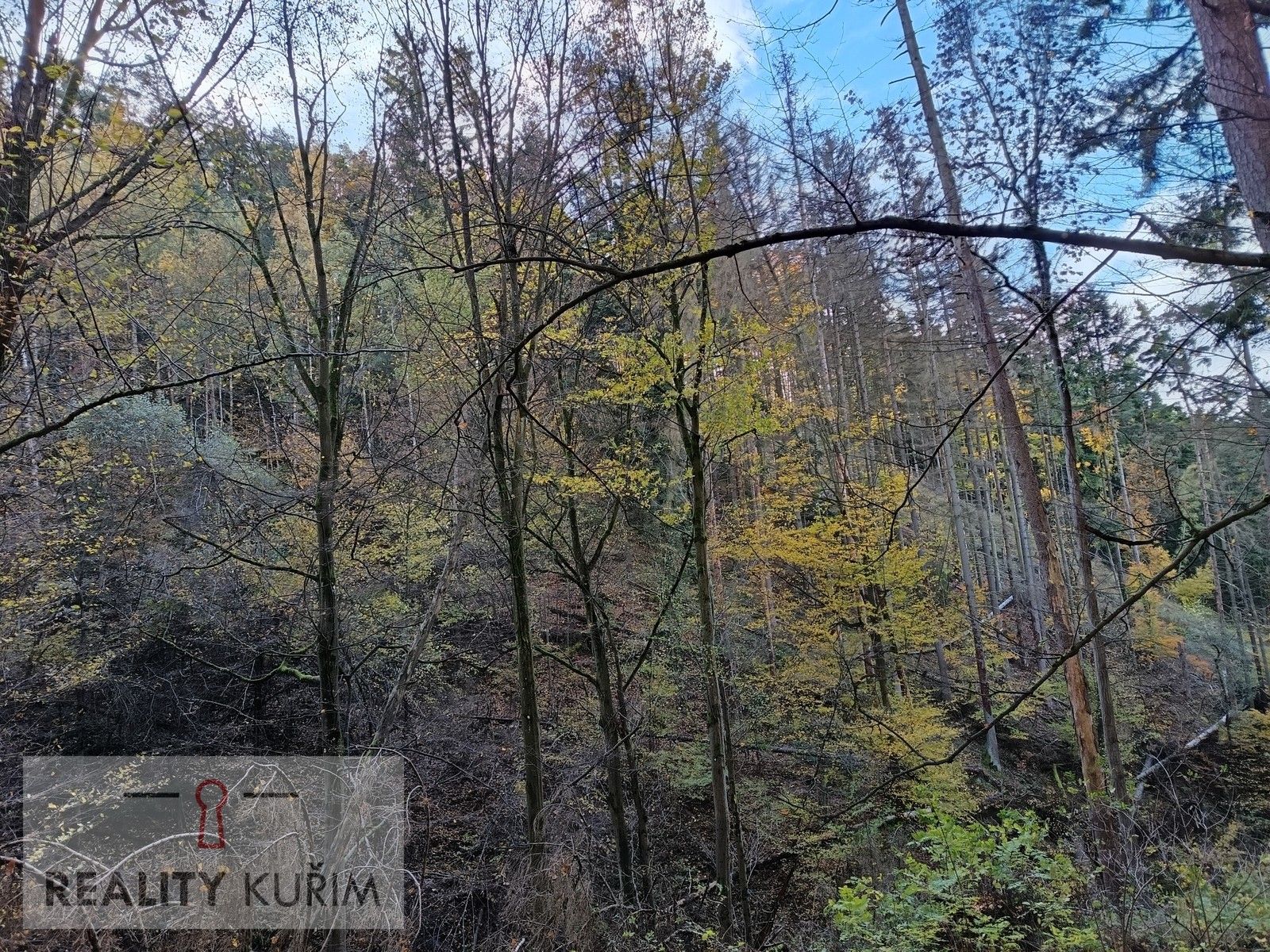 Lesy, Horní Loučky, 11 m²