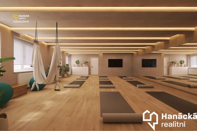 Prodej komerční - Šafaříkova, Prostějov, 380 m²