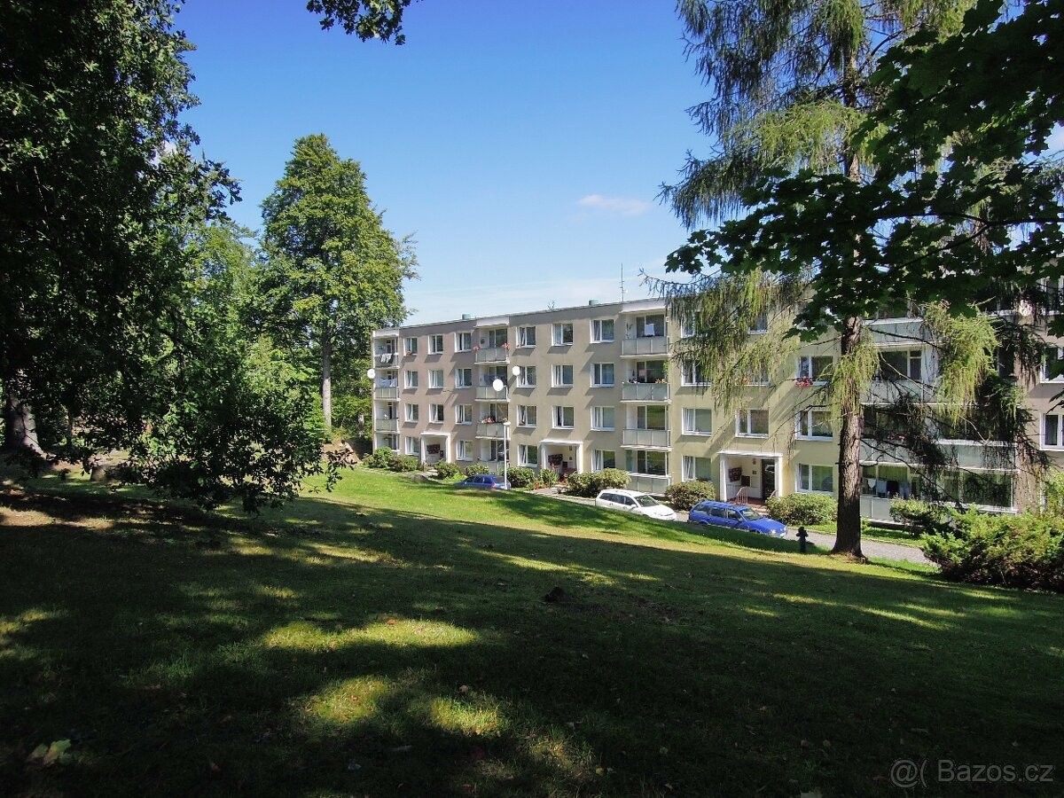 1+kk, Jablonec nad Nisou, 466 01, 25 m²