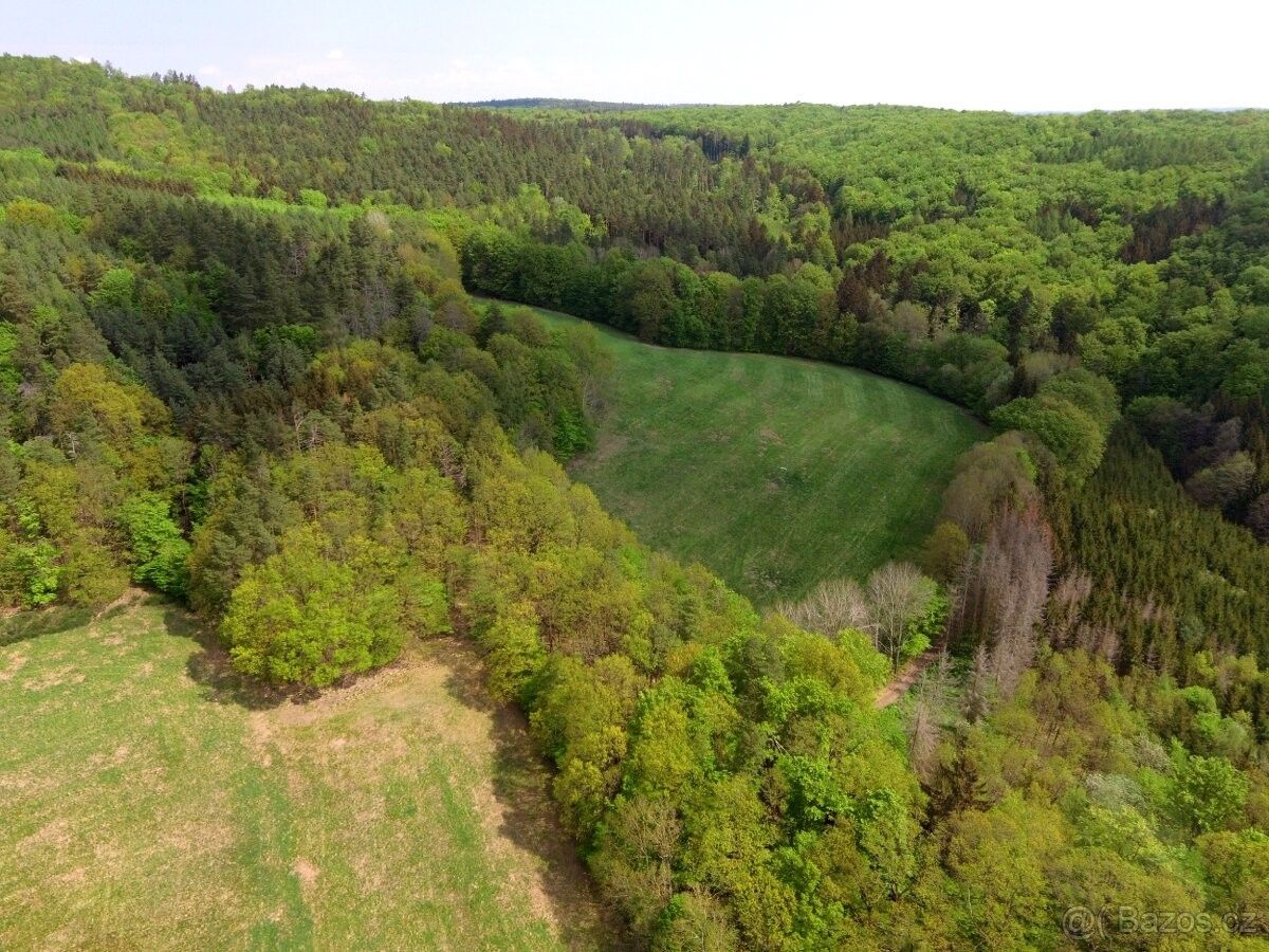 Ostatní, Stříbrná Skalice, 281 67, 12 373 m²