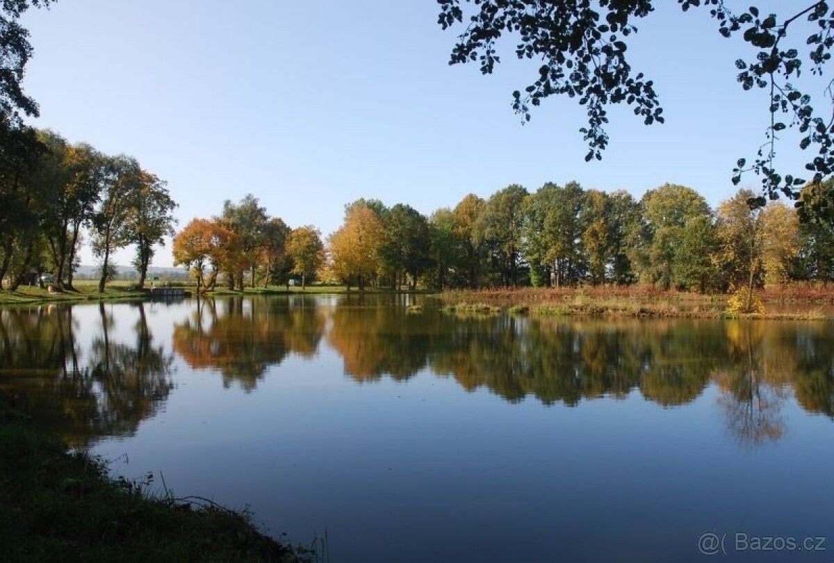 Ostatní, České Budějovice, 370 01, 5 000 m²