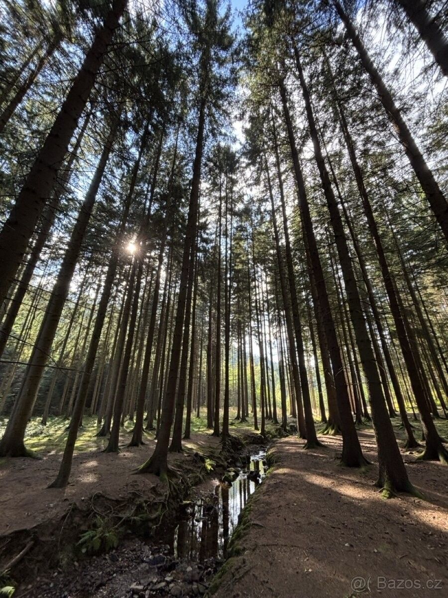 Pozemky pro bydlení, Proseč u Skutče, 539 44