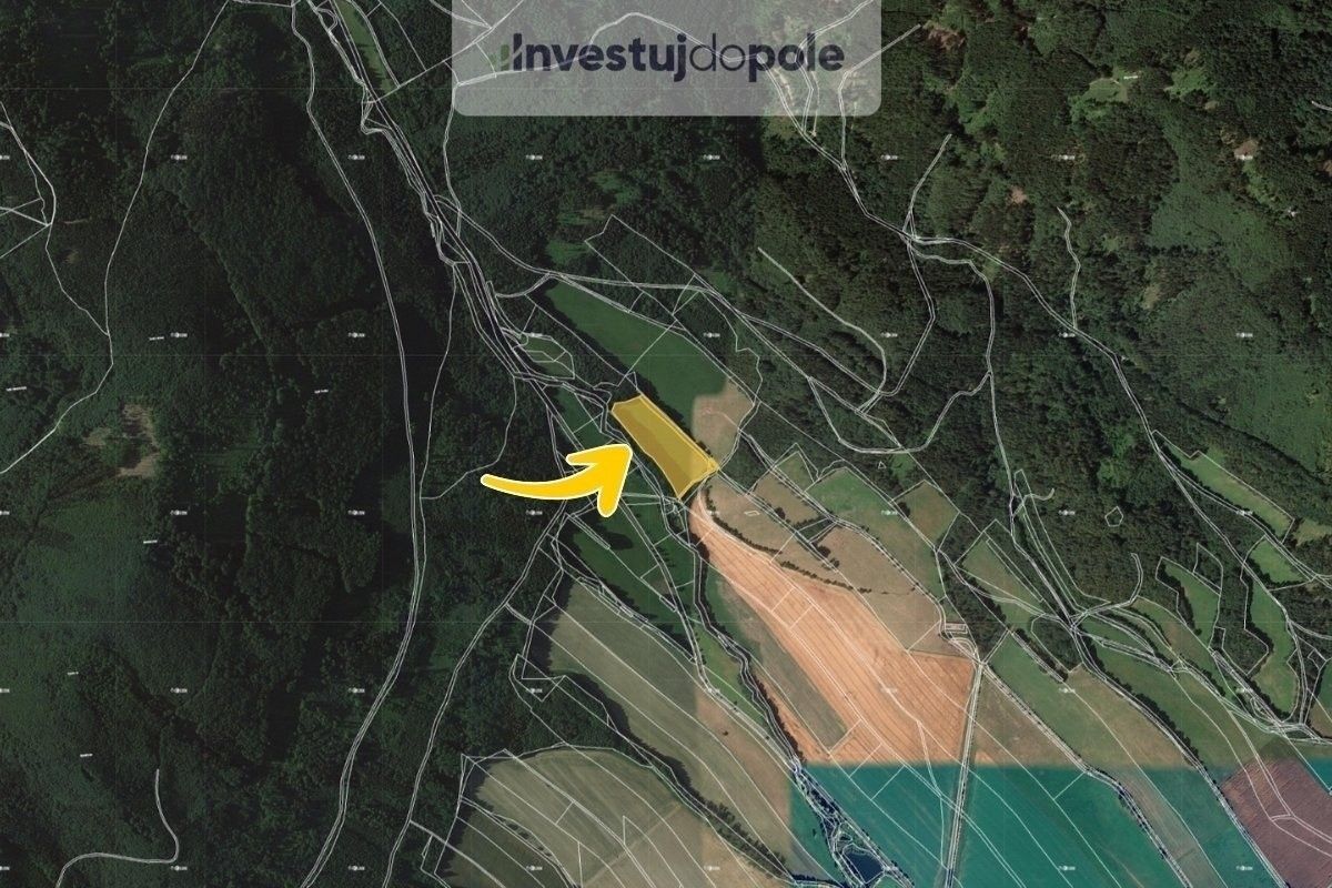 Prodej louka - Rapotín, 7 040 m²