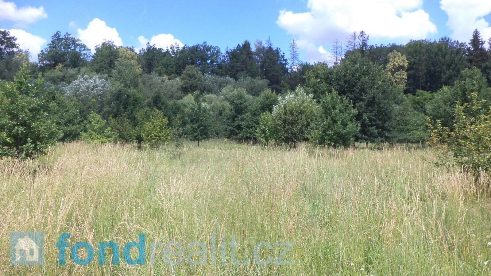 Ostatní, Doudleby, 12 m²