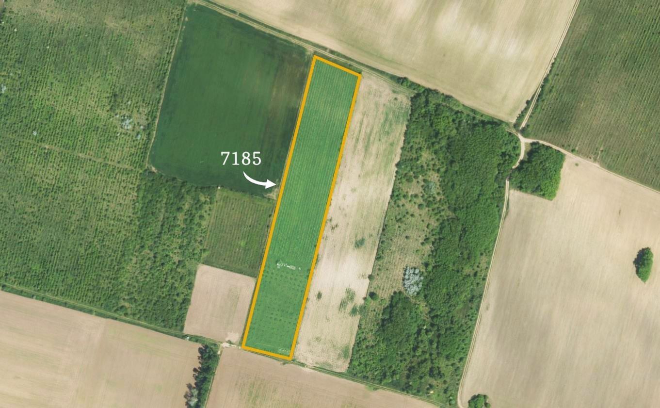 Prodej zemědělský pozemek - Křídlůvky, 15 125 m²