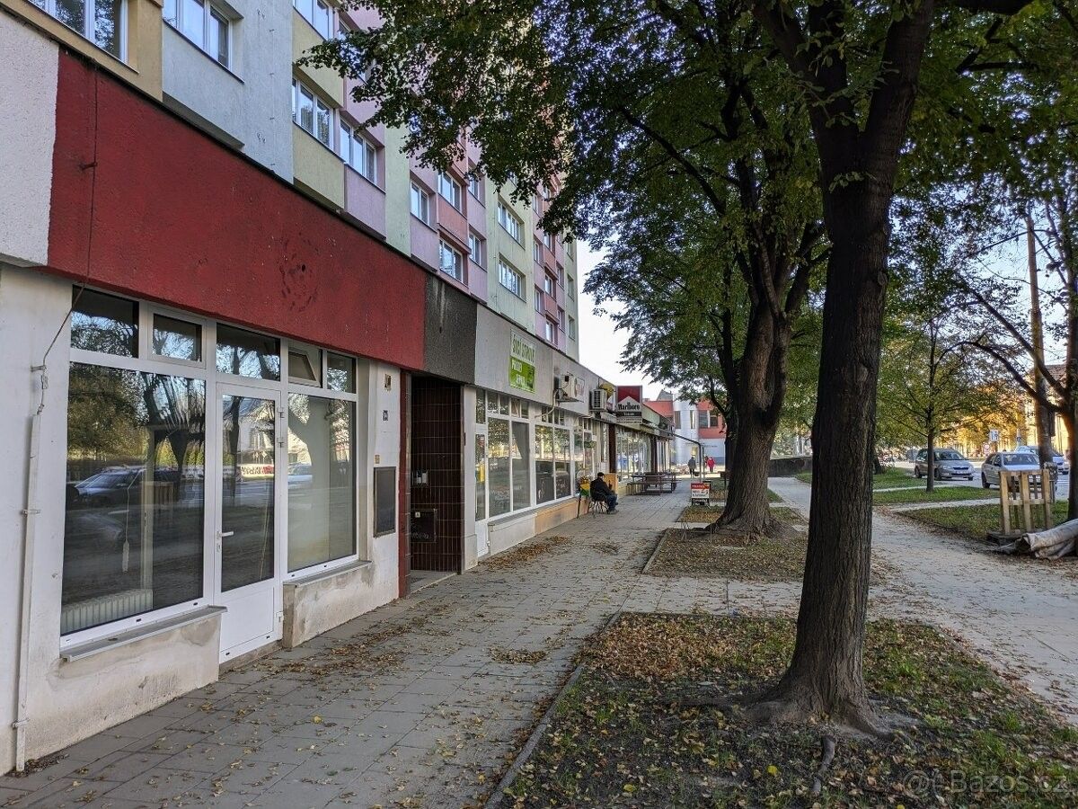 Pronájem obchodní prostory - Opava, 747 05, 30 m²