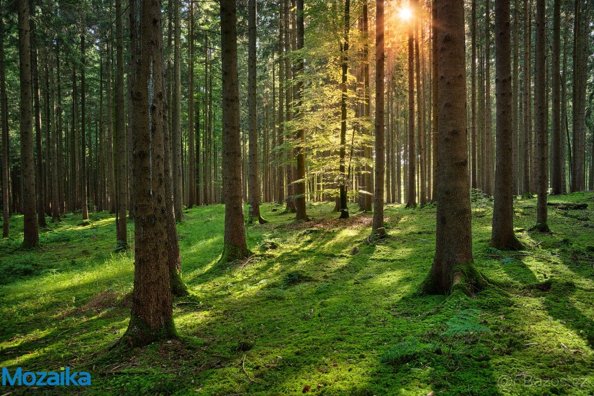 Pozemky pro bydlení, Lanškroun, 563 01