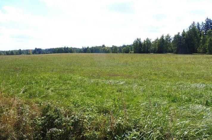 Pozemky pro bydlení, Rožmitál pod Třemšínem, 262 42