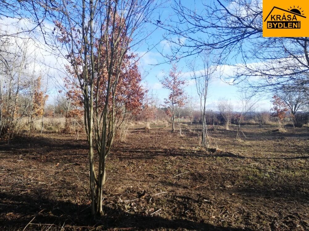 Zahrady, Olomouc, 470 m²