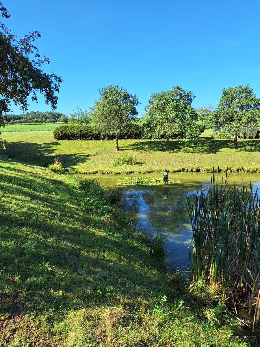 Prodej pozemek - Uhelná Příbram, 582 45, 4 943 m²