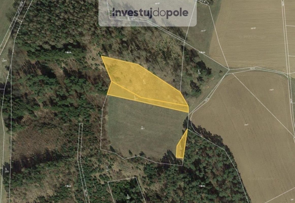 Lesy, Čepřovice, 5 649 m²