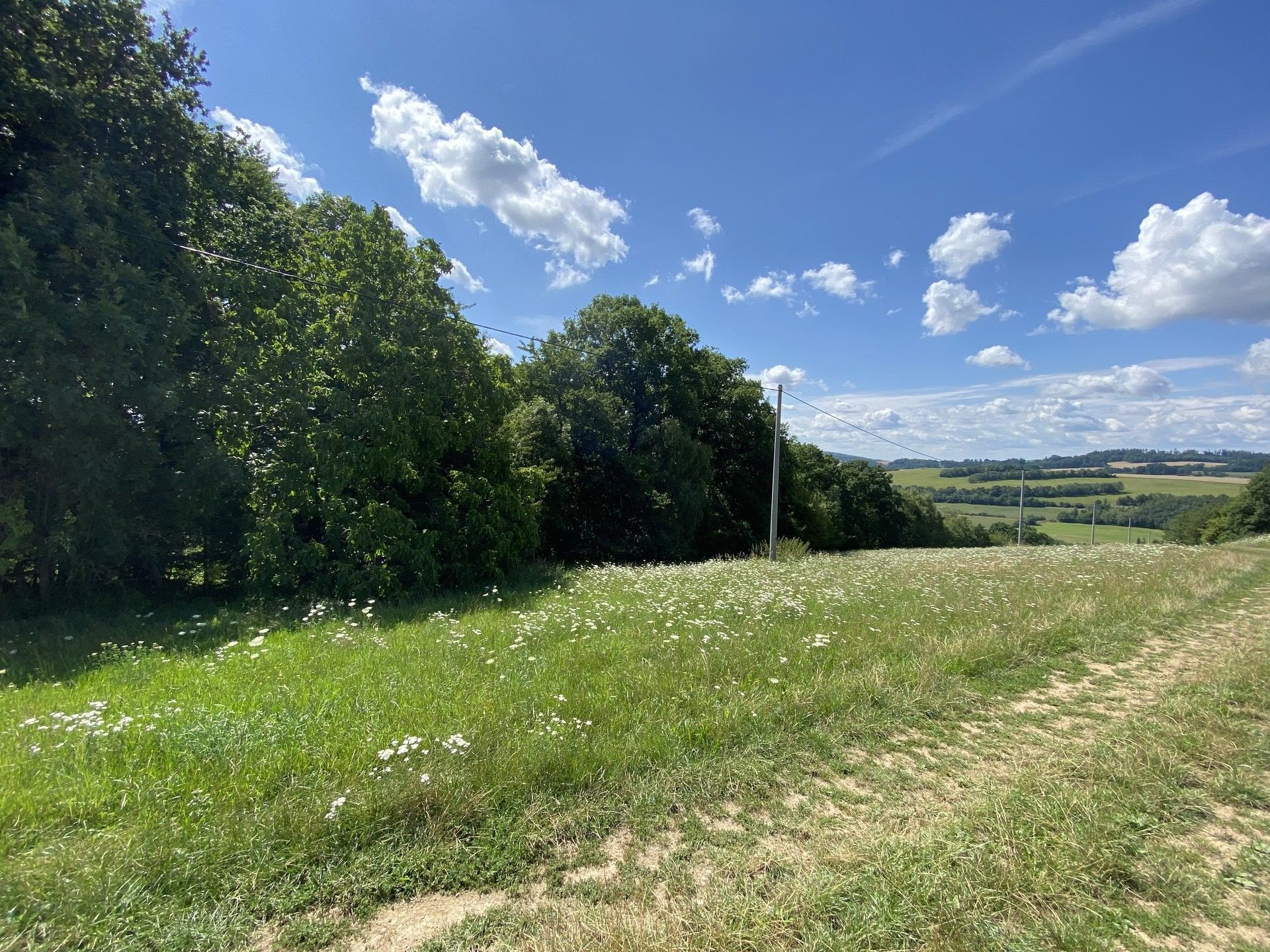 Lesy, Libina, 908 m²