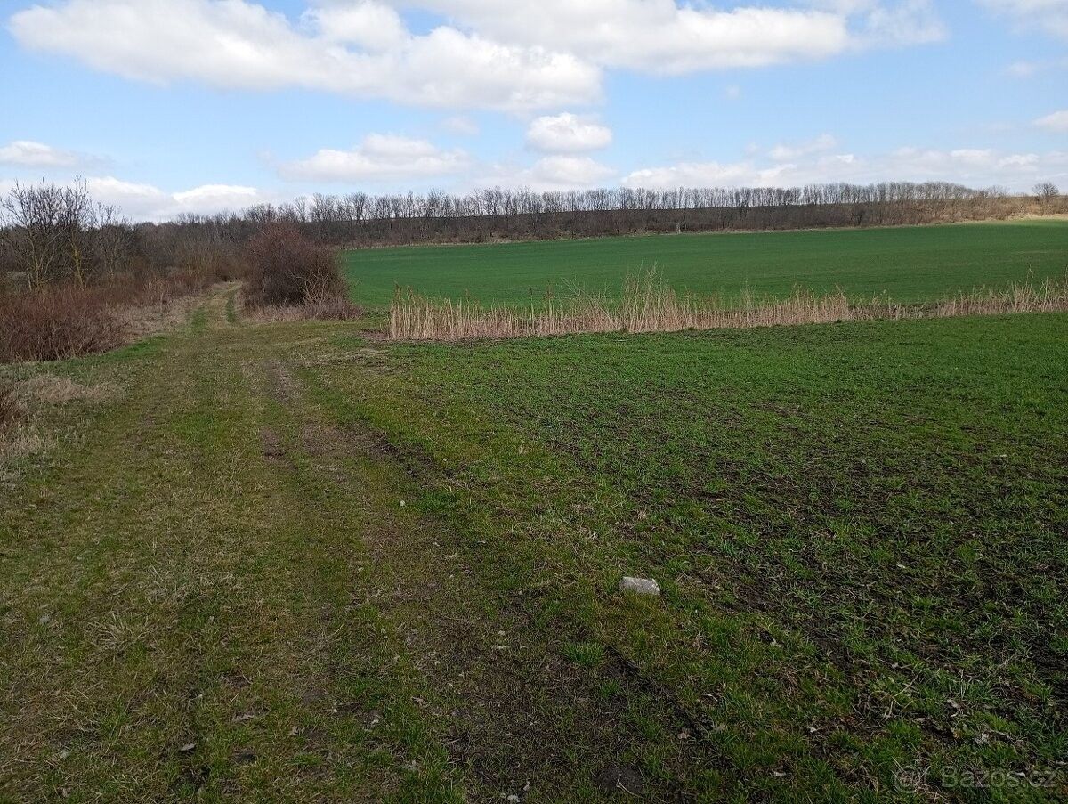 Zahrady, Třebívlice, 411 15