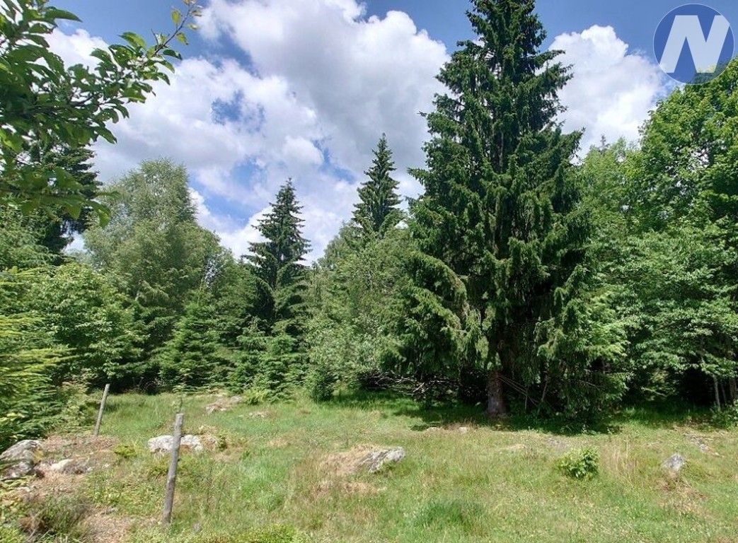 Prodej pozemek - Stožec, 607 m²