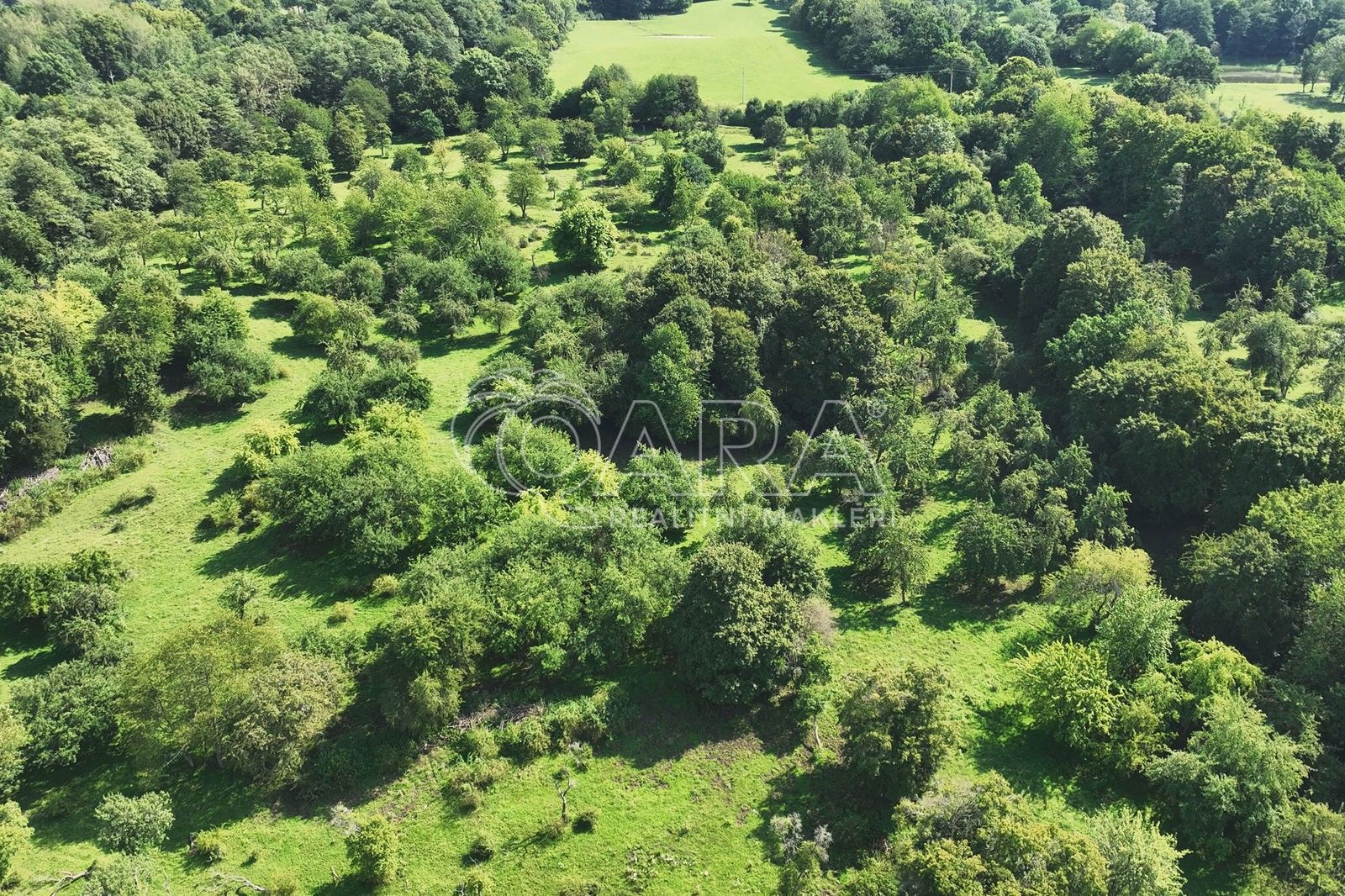 Prodej pozemek - Jakubov, Vojkovice, 199 287 m²