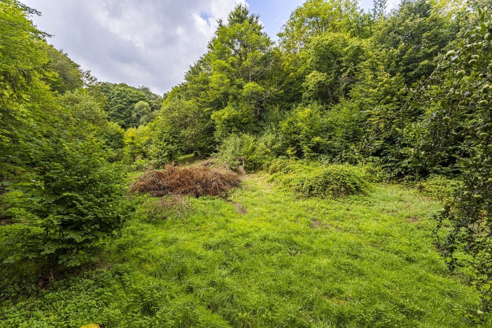 Prodej pozemek pro bydlení - Husova, Jílové u Prahy, 3 m²