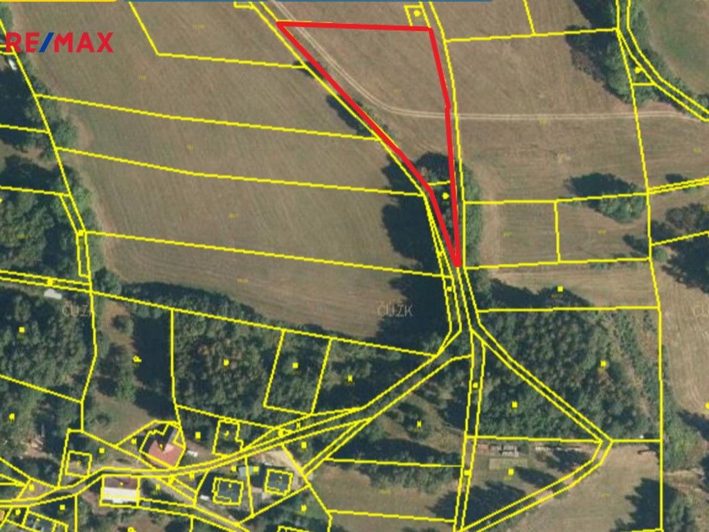 Prodej zemědělský pozemek - Horní Tříč, Vysoké nad Jizerou, 2 906 m²