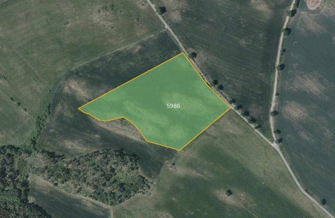 Prodej zemědělský pozemek - Holubí Zhoř, Velká Bíteš, 8 594 m²