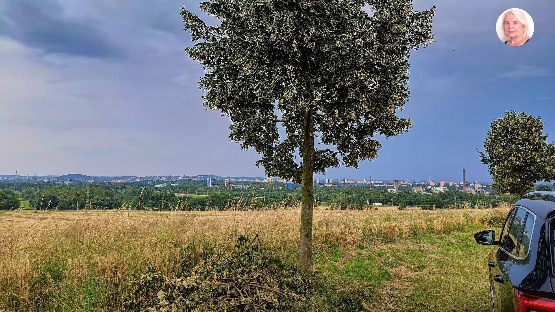 Prodej pozemek pro bydlení - Nad Dubíčkem, Ostrava, 3 621 m²