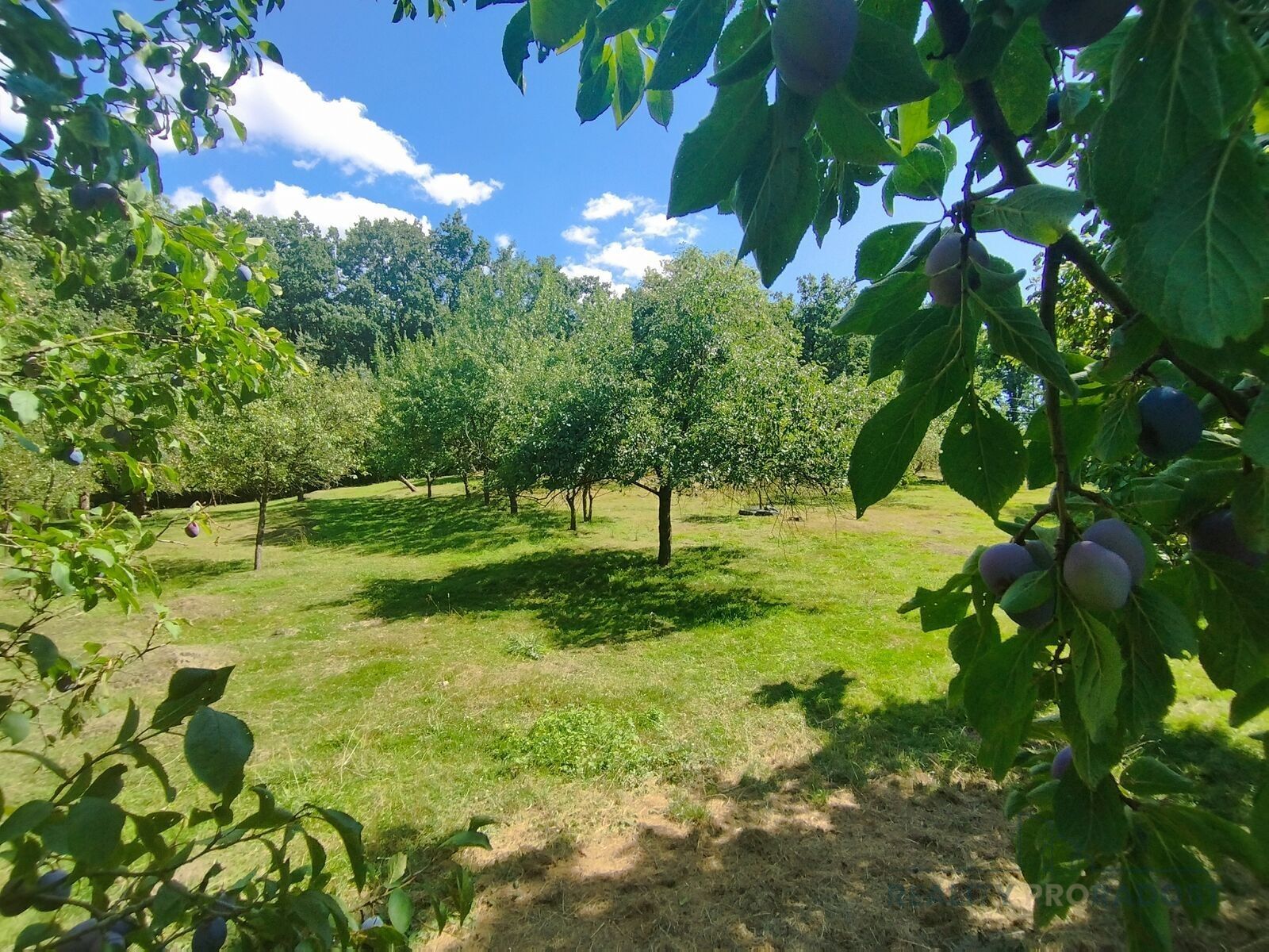 Rodinné domy, Podlesí, Bystřice pod Hostýnem, 262 m²