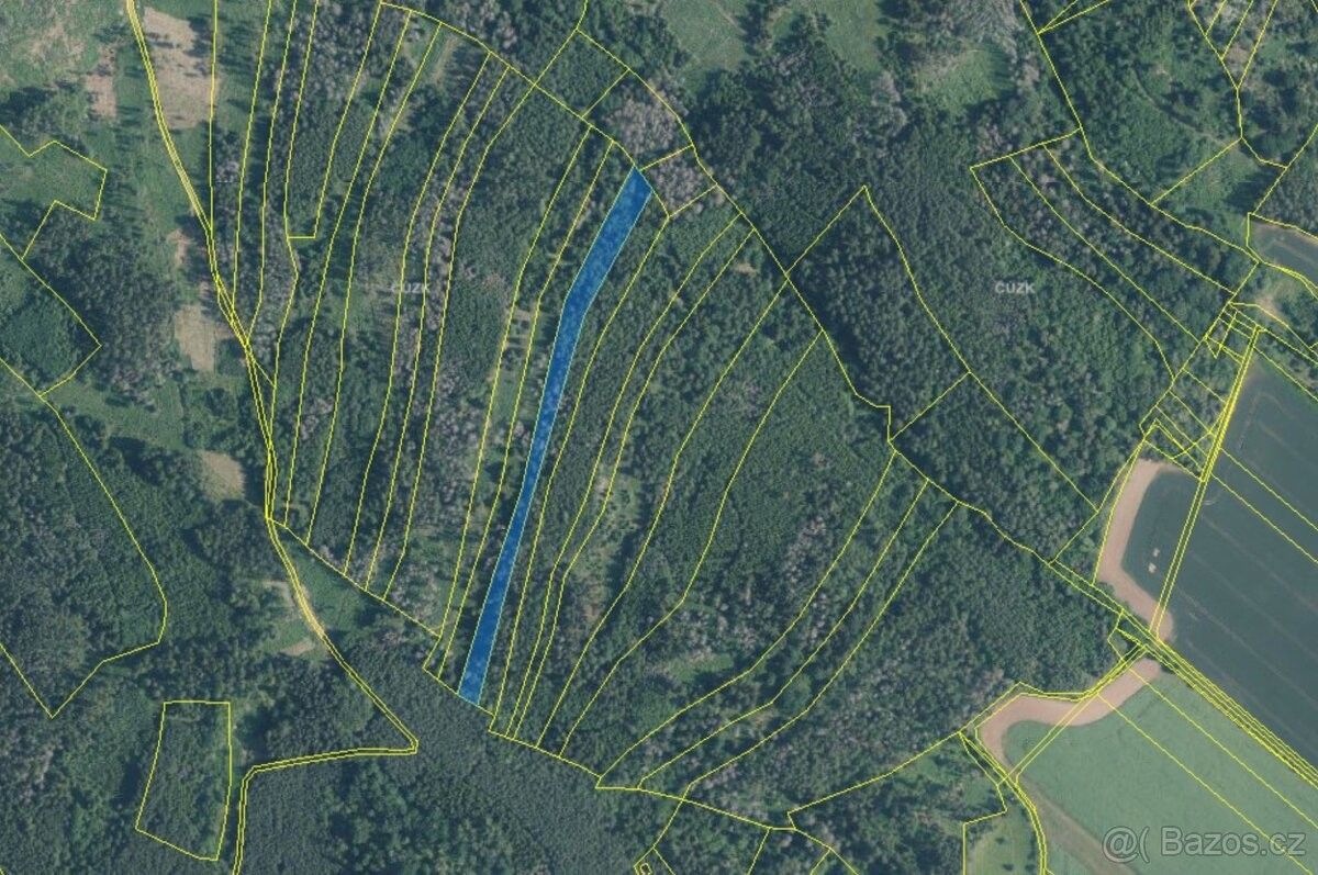 Lesy, Drásov, 664 24, 7 489 m²