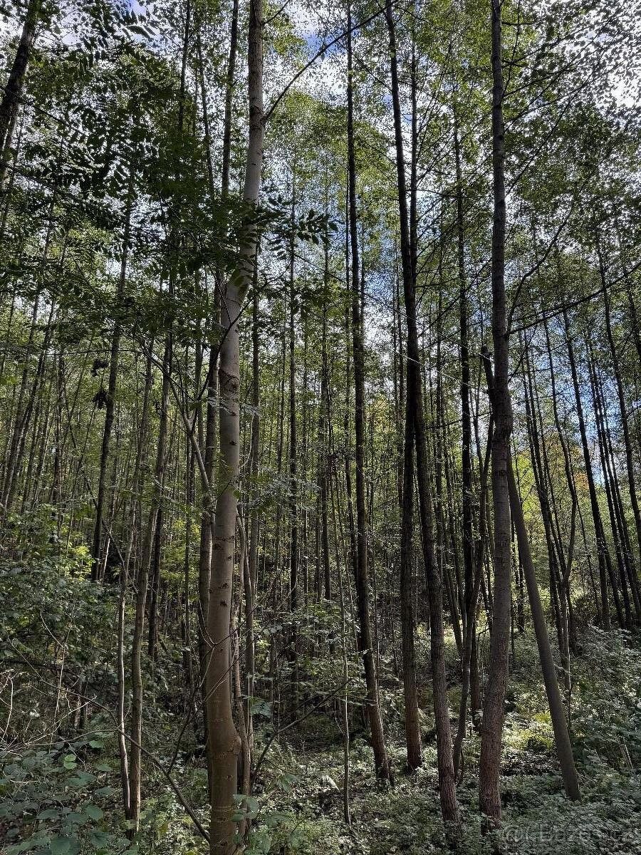 Prodej pozemek pro bydlení - Bohumín, 735 81