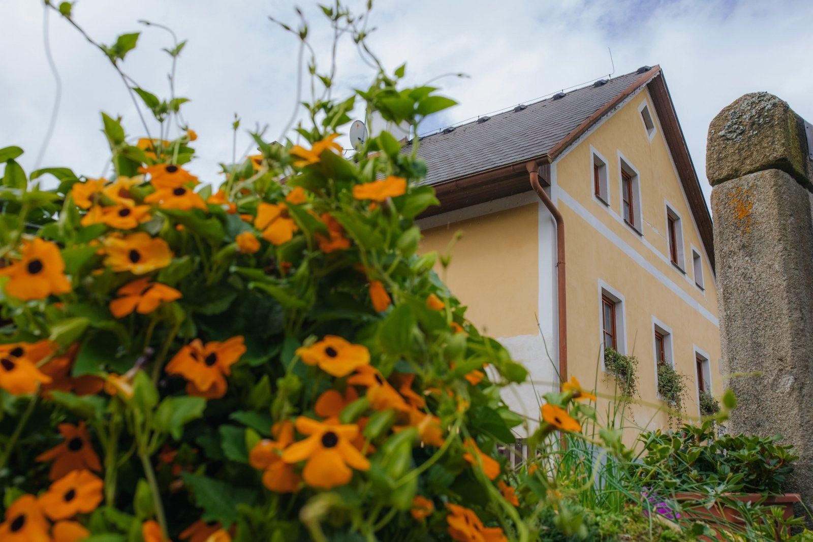 Rodinné domy, Rožmberk nad Vltavou, 151 m²