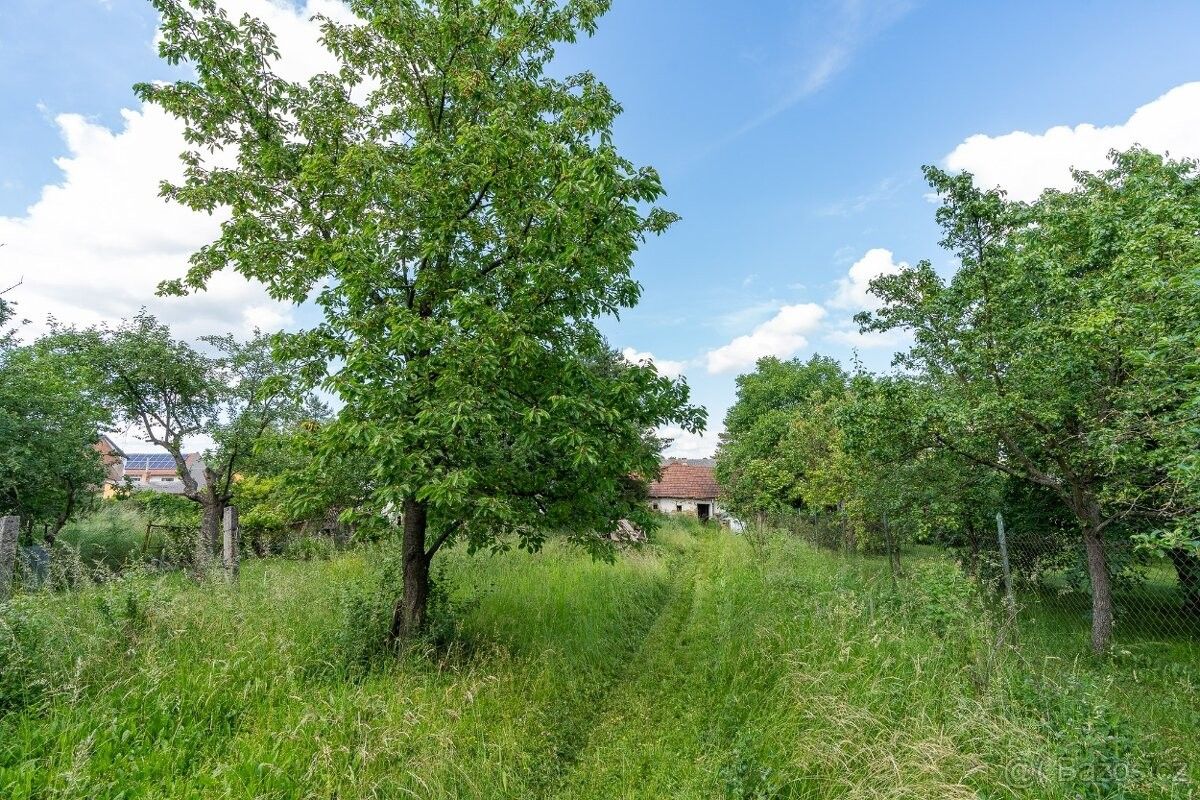 Prodej pozemek pro bydlení - Brodek u Prostějova, 798 07, 993 m²