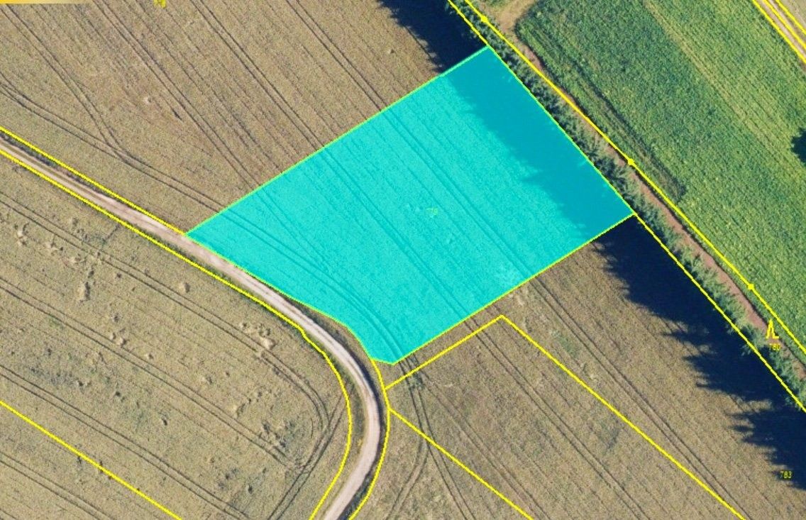 Zemědělské pozemky, Seč, Lipová