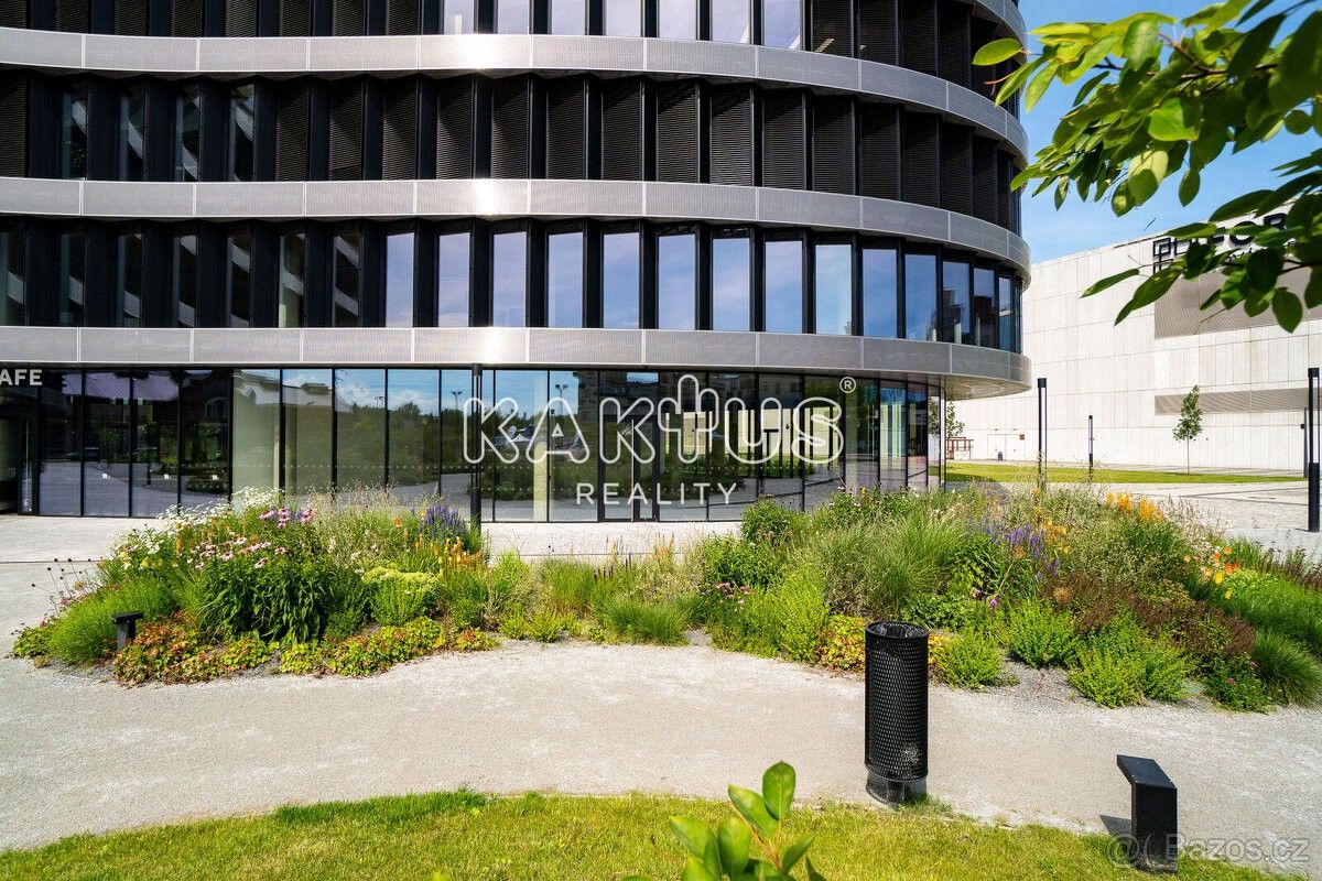 Obchodní prostory, Ostrava, 702 00