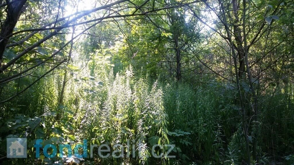 Prodej pozemek - Ostrava, 1 m²