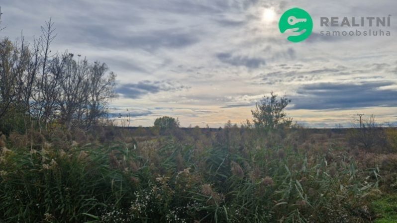 Zemědělské pozemky, Dubňany, 2 371 m²