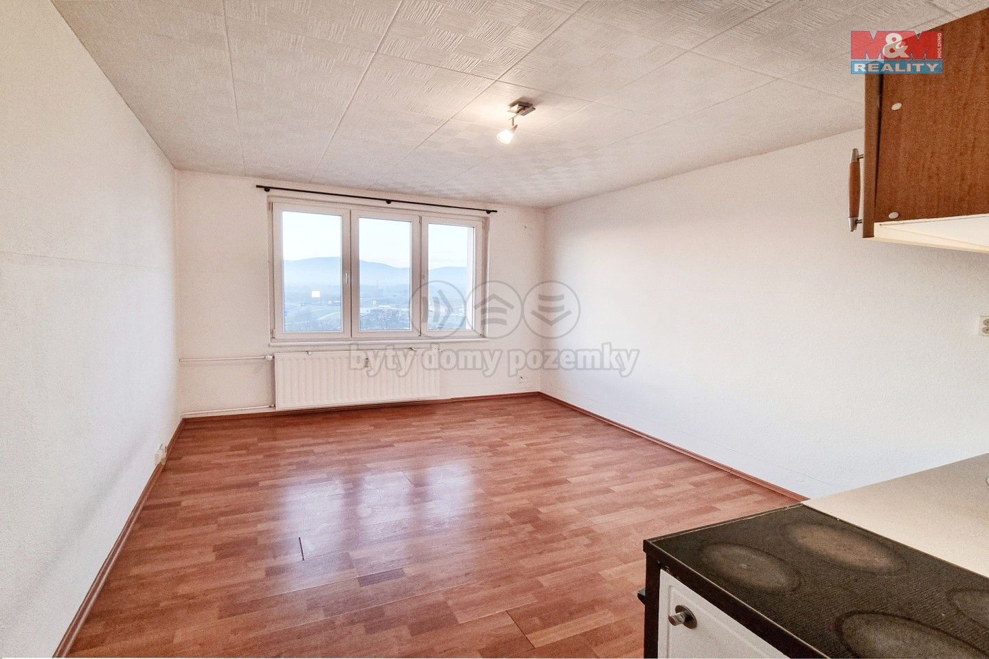 1+kk, Kollárova, Ostrov, 19 m²