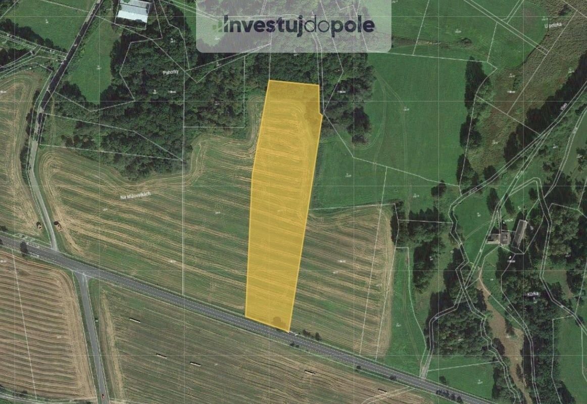 Prodej zemědělský pozemek - Nepomuk, 335 01, 9 203 m²