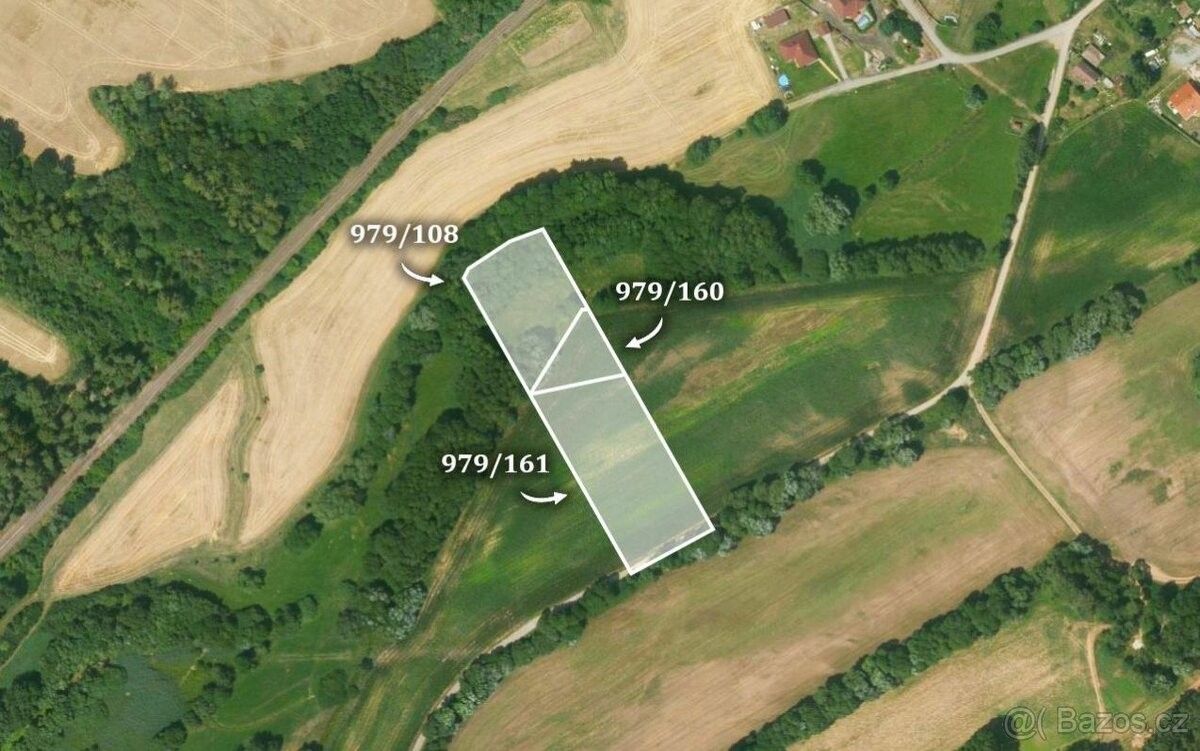 Zemědělské pozemky, Kralovice, 331 41, 9 024 m²