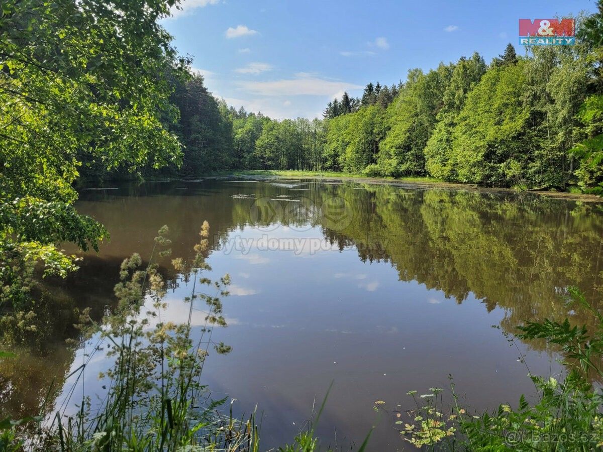 Prodej pozemek - Toužim, 364 01, 13 432 m²