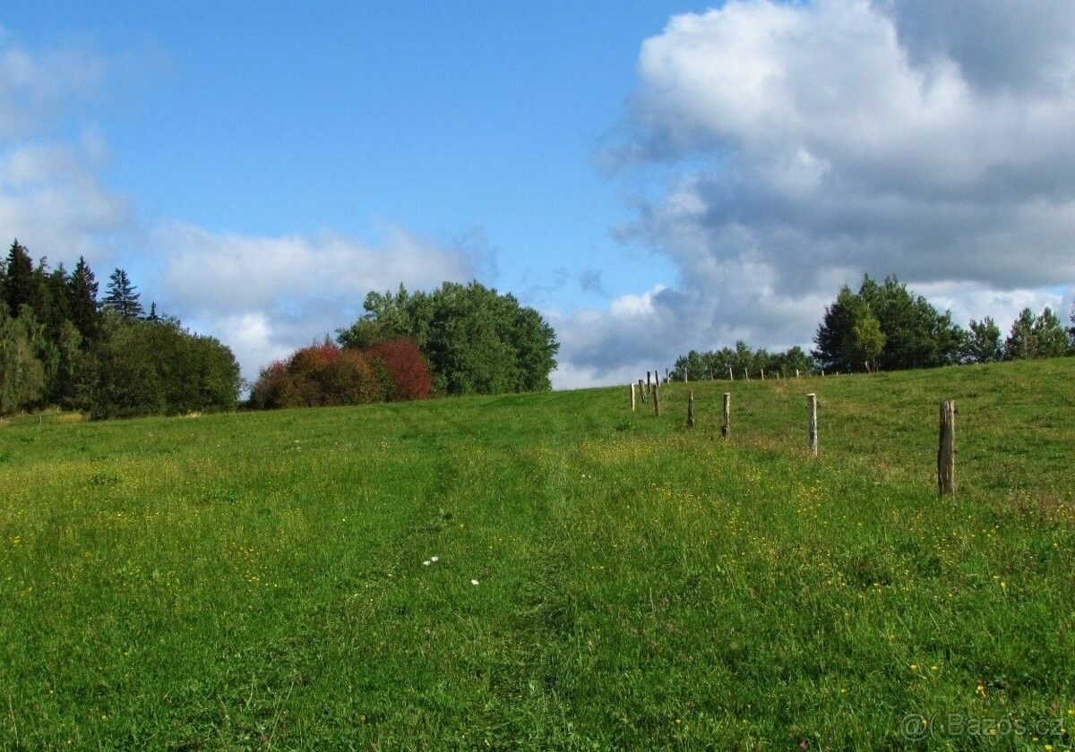 Prodej zemědělský pozemek - Miletín, 507 71, 52 000 m²