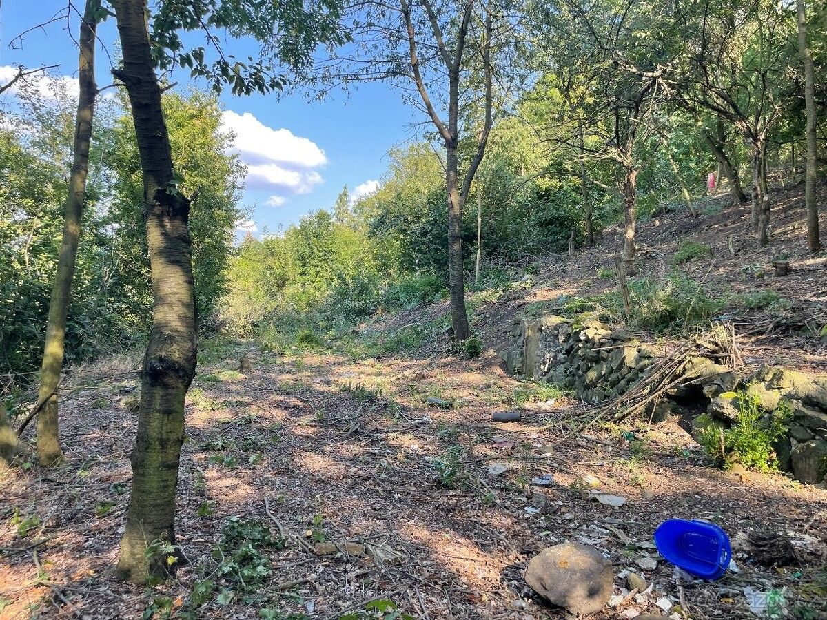 Pozemky pro bydlení, Bílina, 418 01