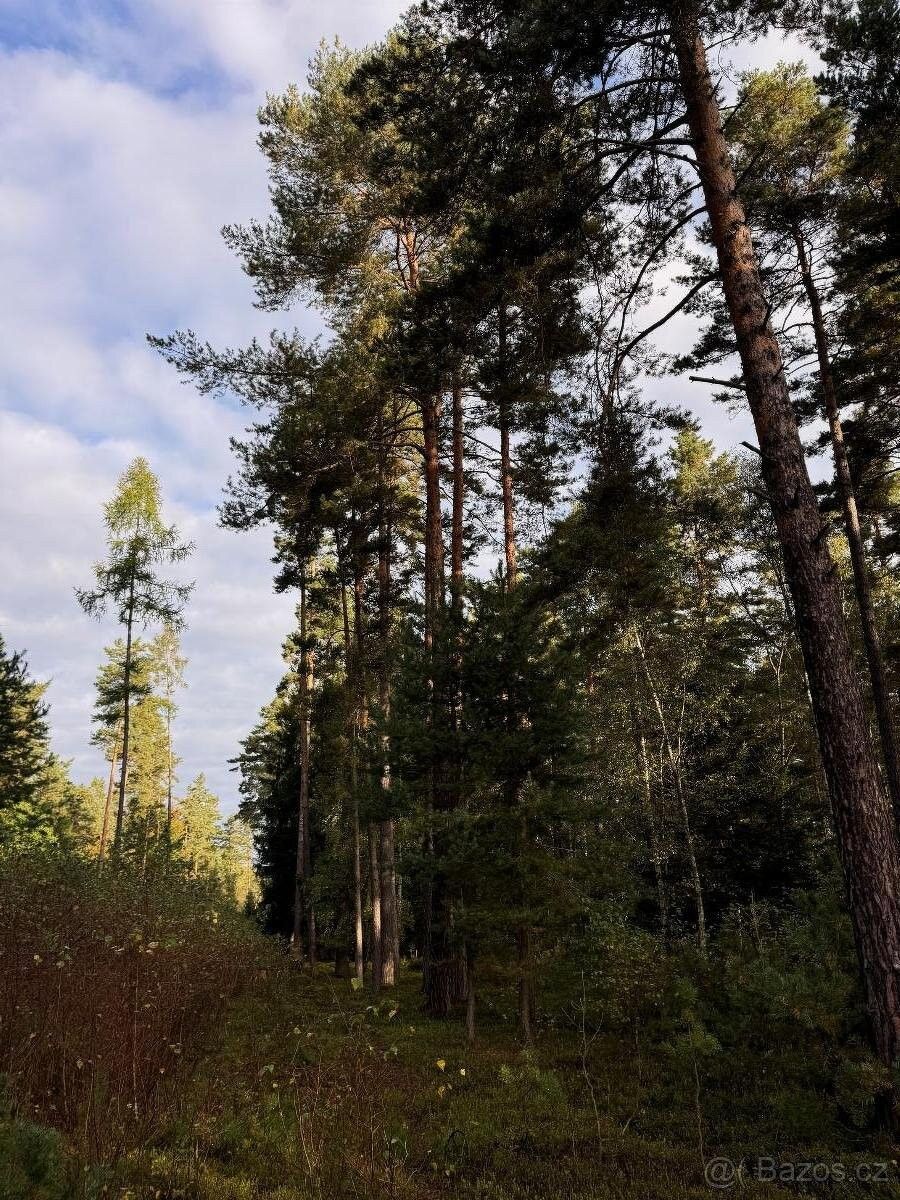 Pozemky pro bydlení, Trhové Sviny, 374 01