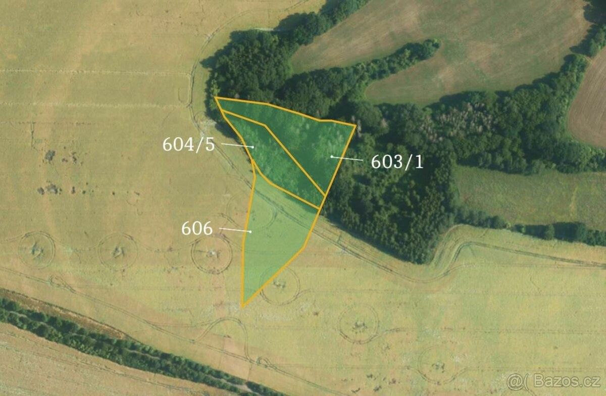 Zemědělské pozemky, Kostelec nad Černými Lesy, 281 63, 54 782 m²